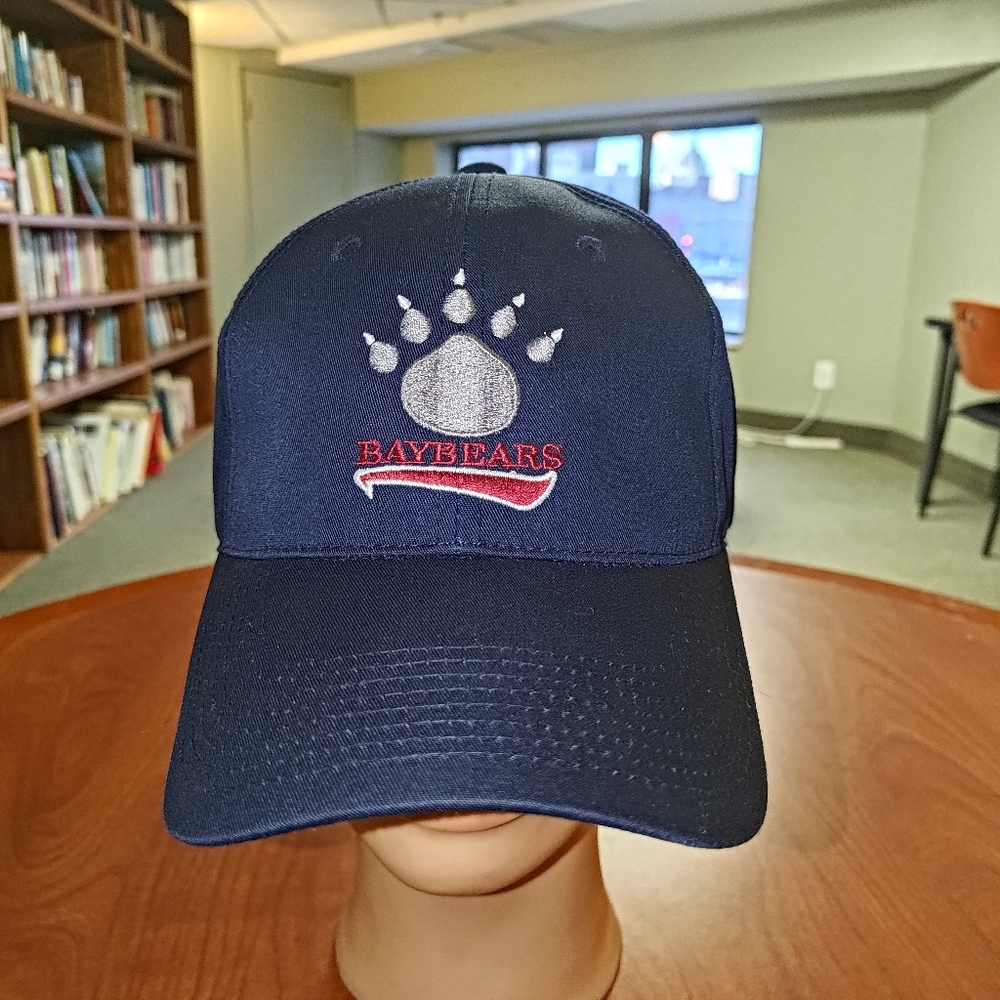 MiLB Mobile Baybears Embroidered Logo Black Purple Snapback Hat Cap OSFM